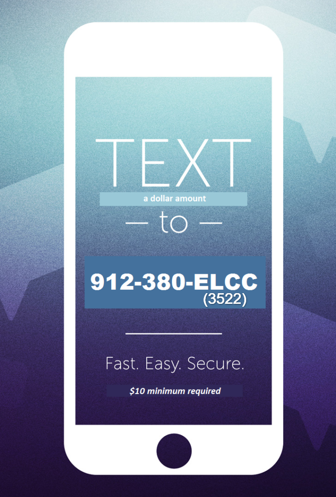 text-to-give-web